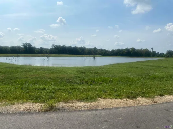 $169,900 | Lot 24 Buddy Gore Road, Gonzales, LA 70737