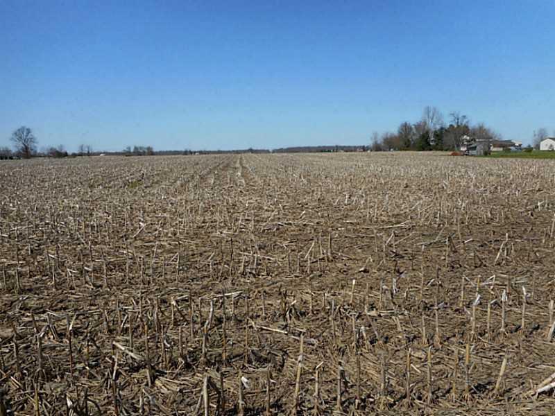 9648 Stott Road New Carlisle, OH 45344 - Photo 2 of 3