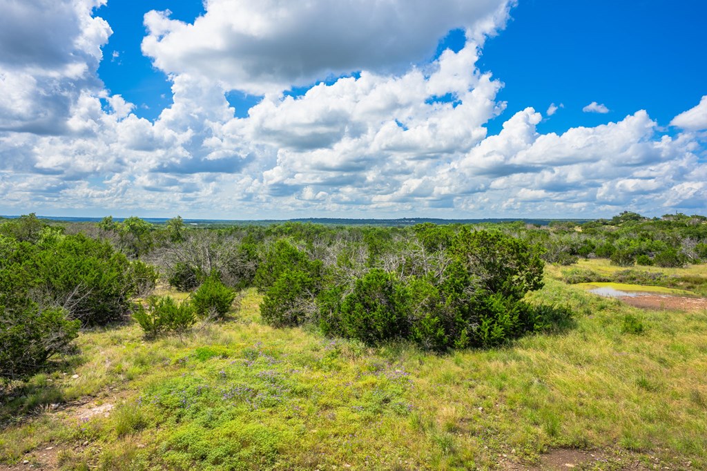0 Jackson Ranch Rocksprings, TX 78880 - Photo 20 of 27