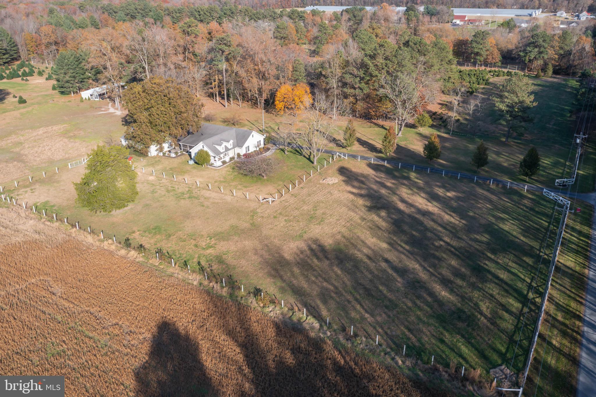 553 Beebe Road Harrington, DE 19952 - Photo 2 of 45 Gallery Image 2