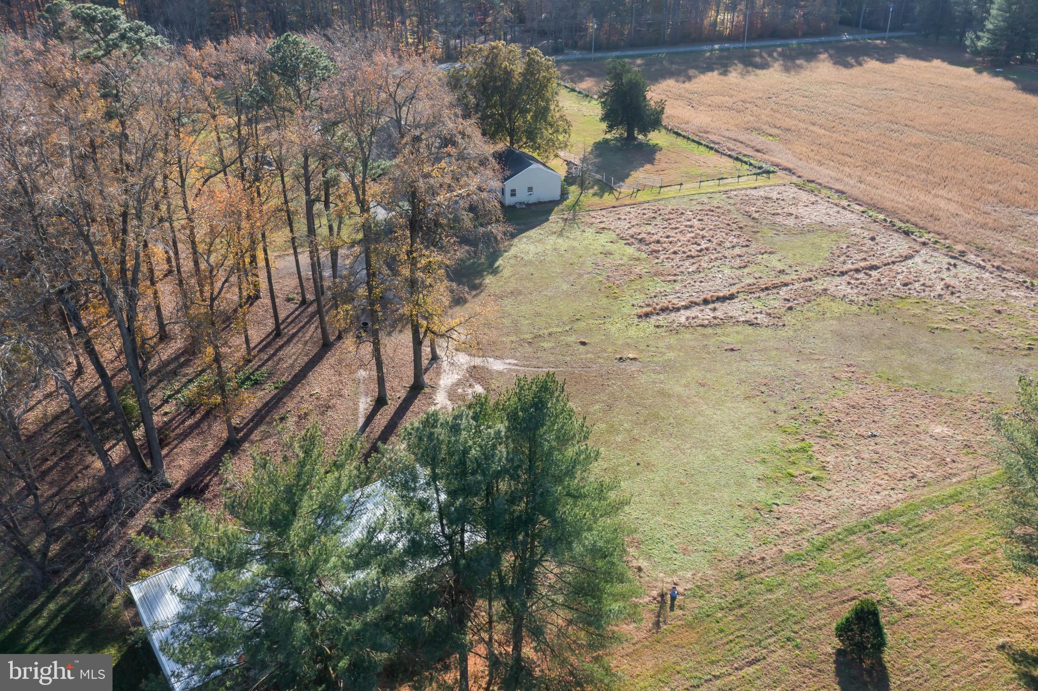 553 Beebe Road Harrington, DE 19952 - Photo 43 of 45 Gallery Image 43