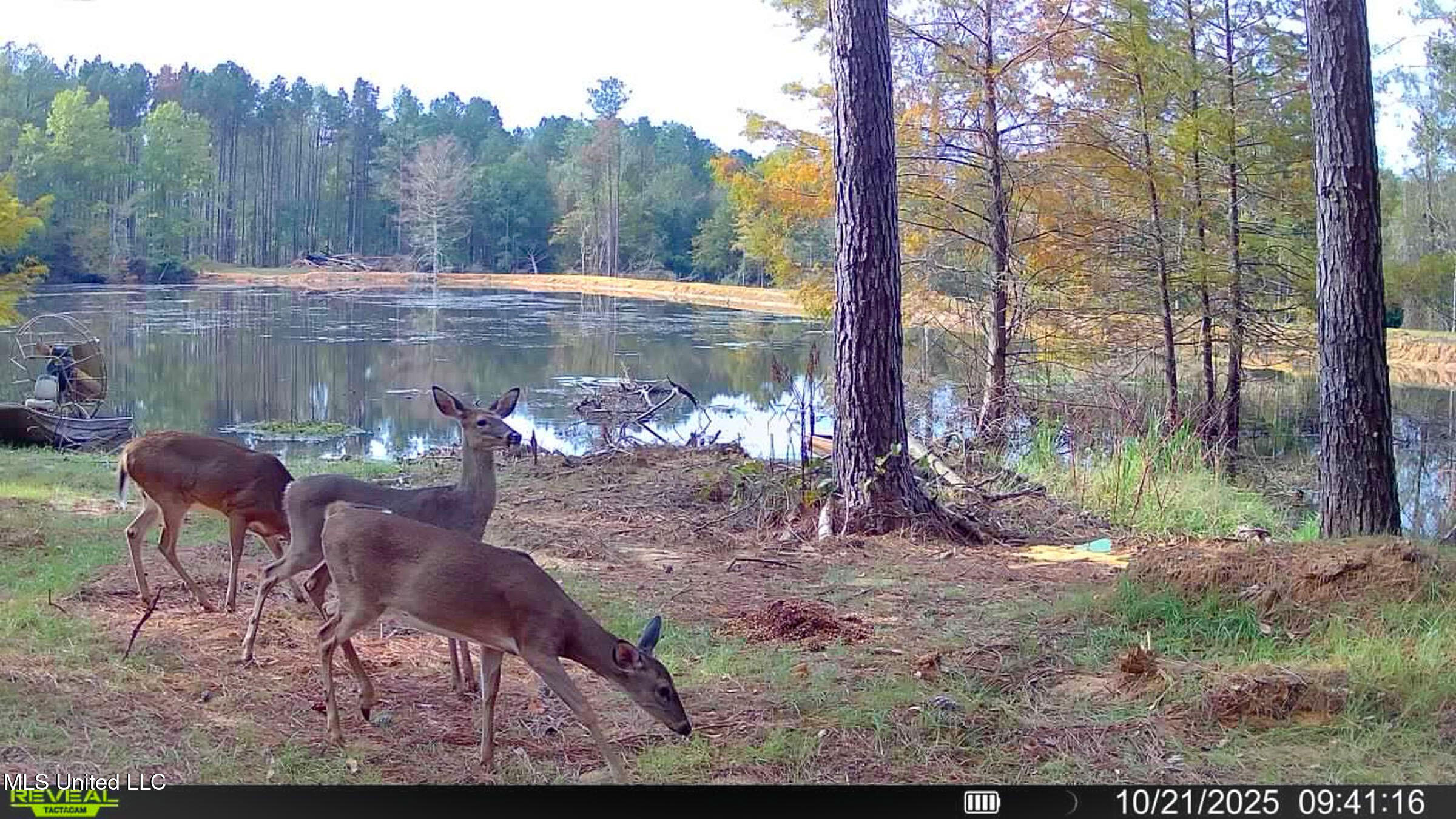 348 Beaverdam Road Camden, MS 39045 - Photo 16 of 122 madison cabin does