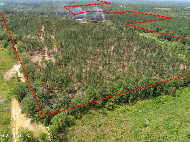 $975,000 | 348 Beaverdam Road, Camden, MS 39045