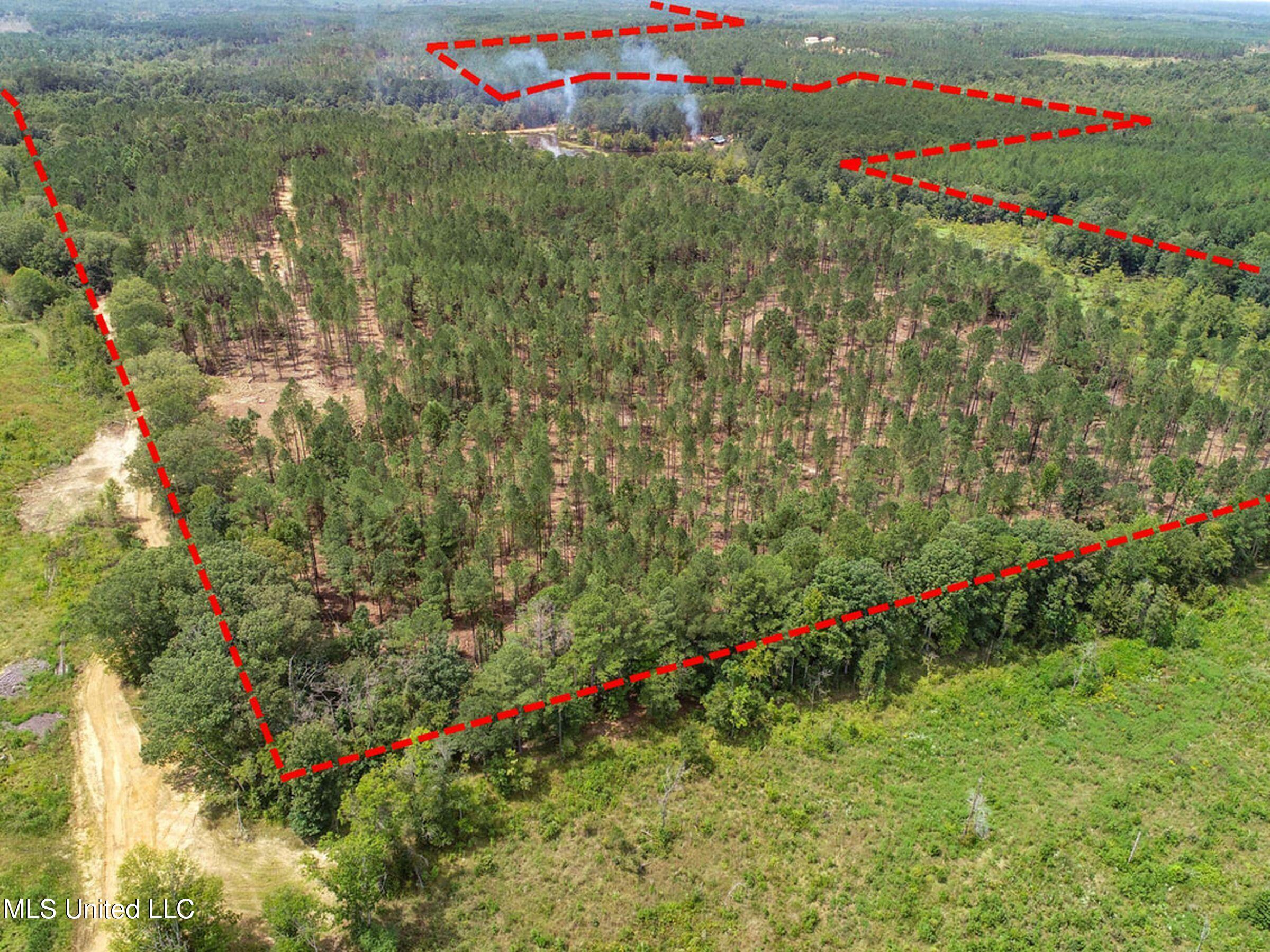 348 Beaverdam Road Camden, MS 39045 - Photo 20 of 121 148lakehs48