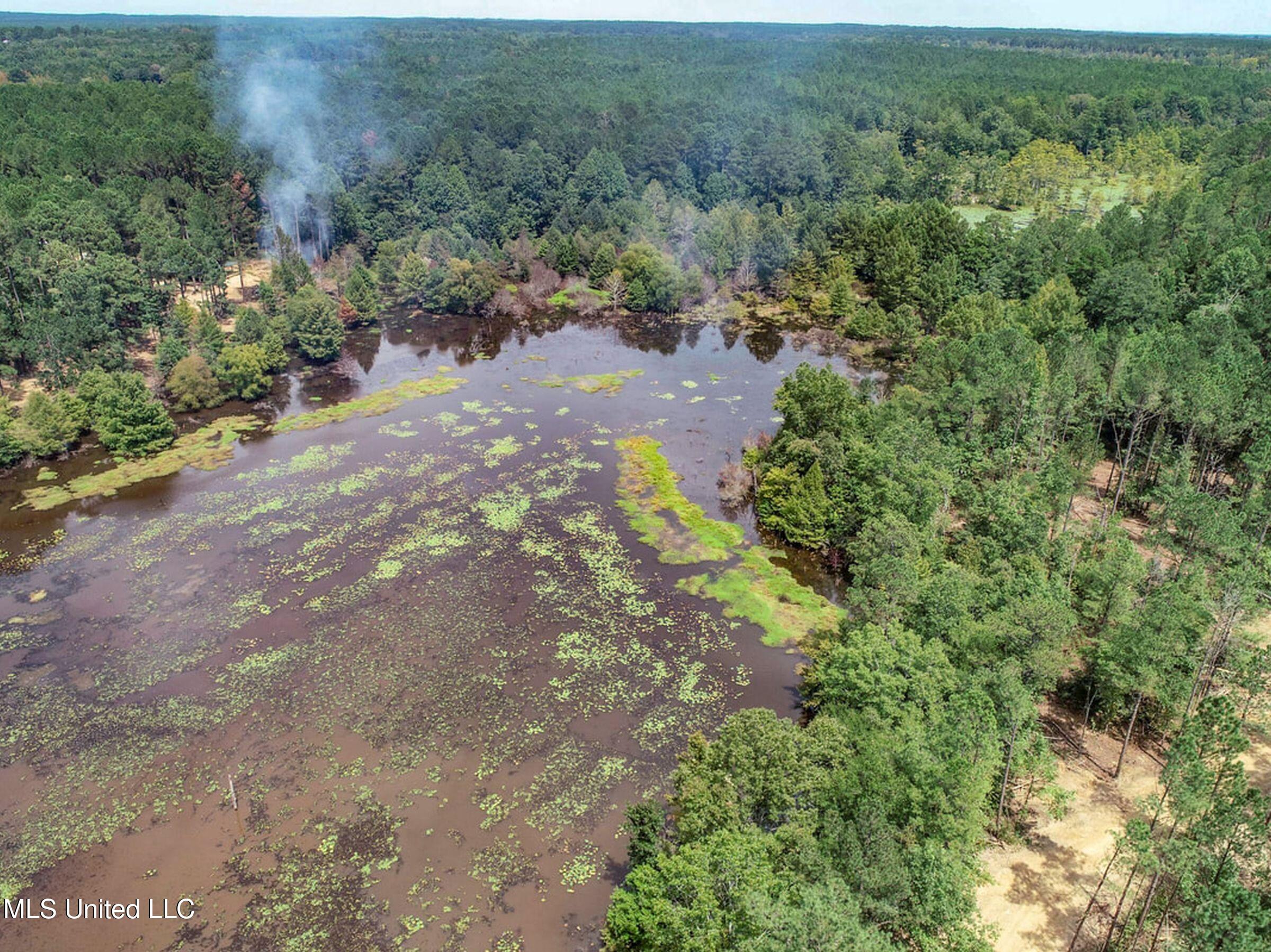 348 Beaverdam Road Camden, MS 39045 - Photo 20 of 122 148lakehs47