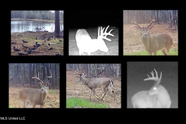 $1,024,000 | 348 Beaverdam Road, Camden, MS 39045