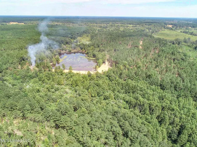 $975,000 | 348 Beaverdam Road, Camden, MS 39045