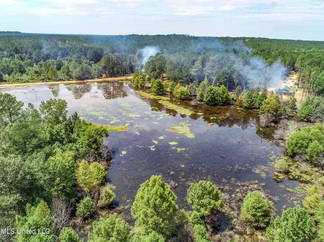 $975,000 | 348 Beaverdam Road, Camden, MS 39045