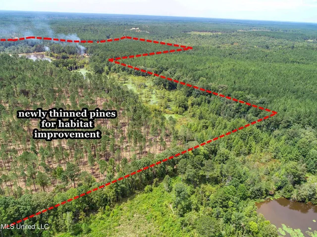 $975,000 | 348 Beaverdam Road, Camden, MS 39045