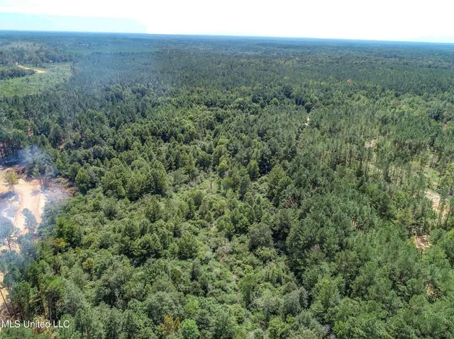 $975,000 | 348 Beaverdam Road, Camden, MS 39045