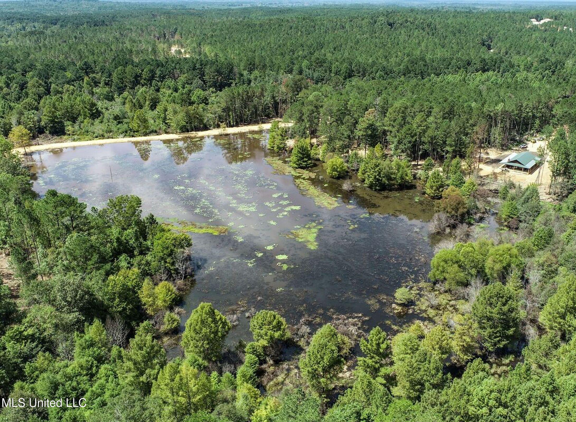 348 Beaverdam Road Camden, MS 39045 - Photo 27 of 121 148lakehs60