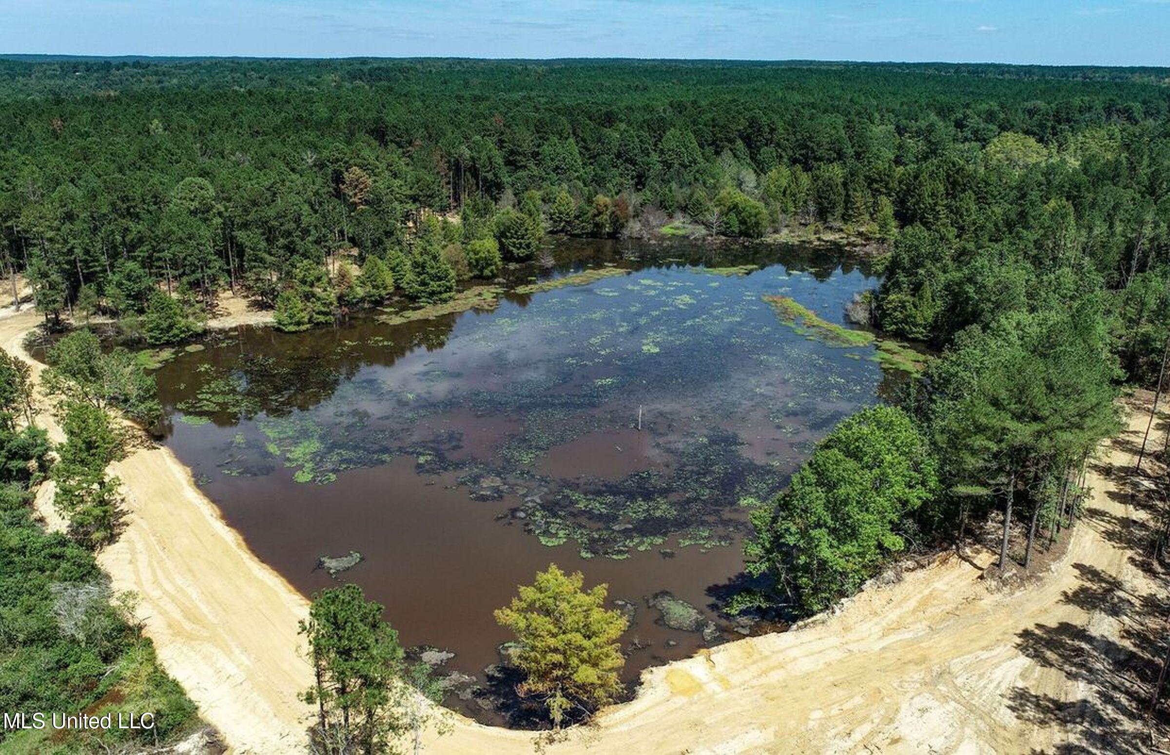 348 Beaverdam Road Camden, MS 39045 - Photo 28 of 121 148lakehs61