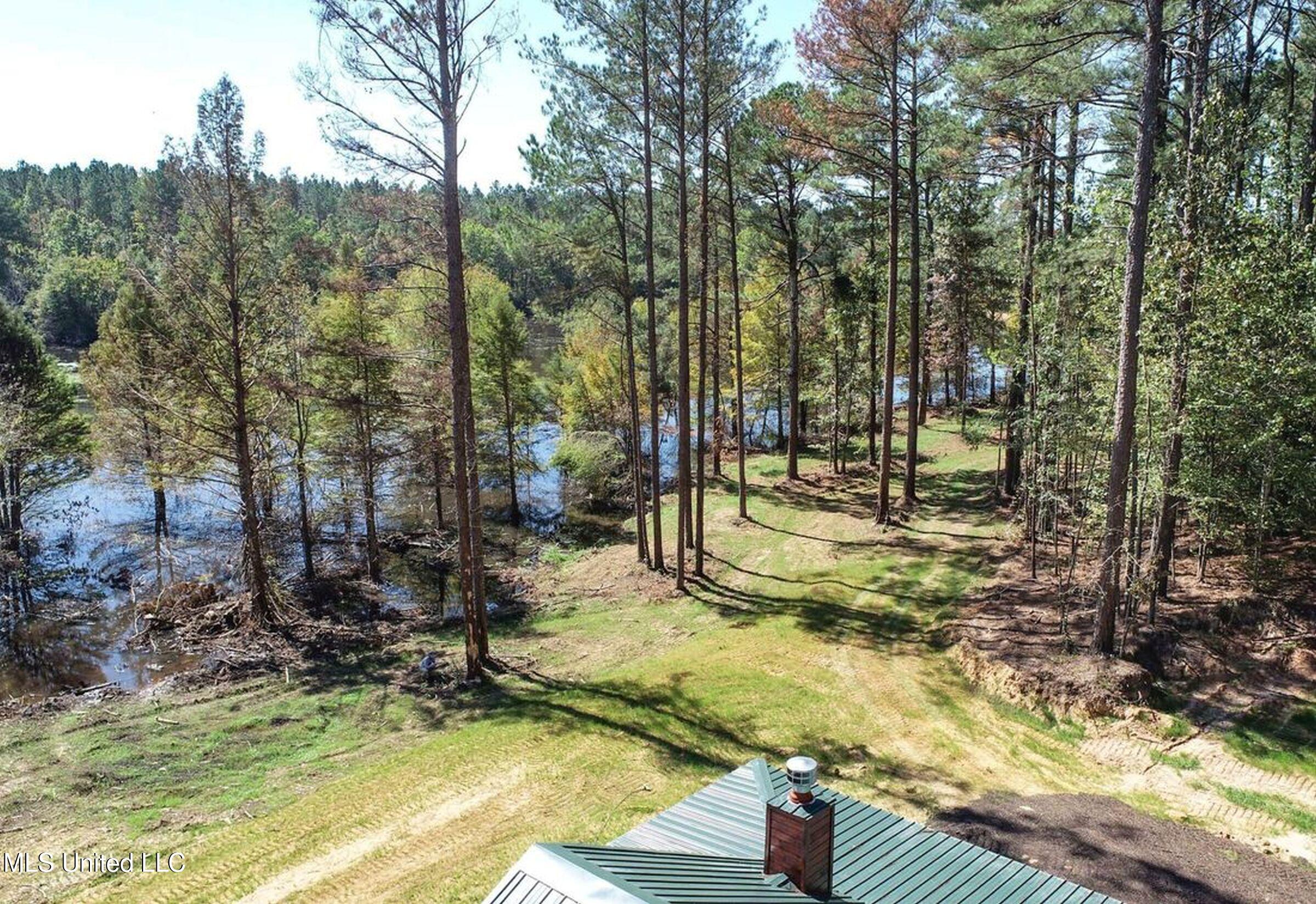 348 Beaverdam Road Camden, MS 39045 - Photo 33 of 122 148lakehs43