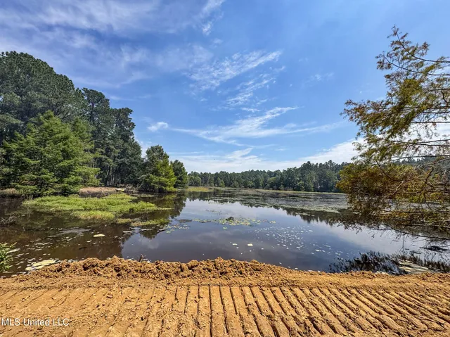 $975,000 | 348 Beaverdam Road, Camden, MS 39045