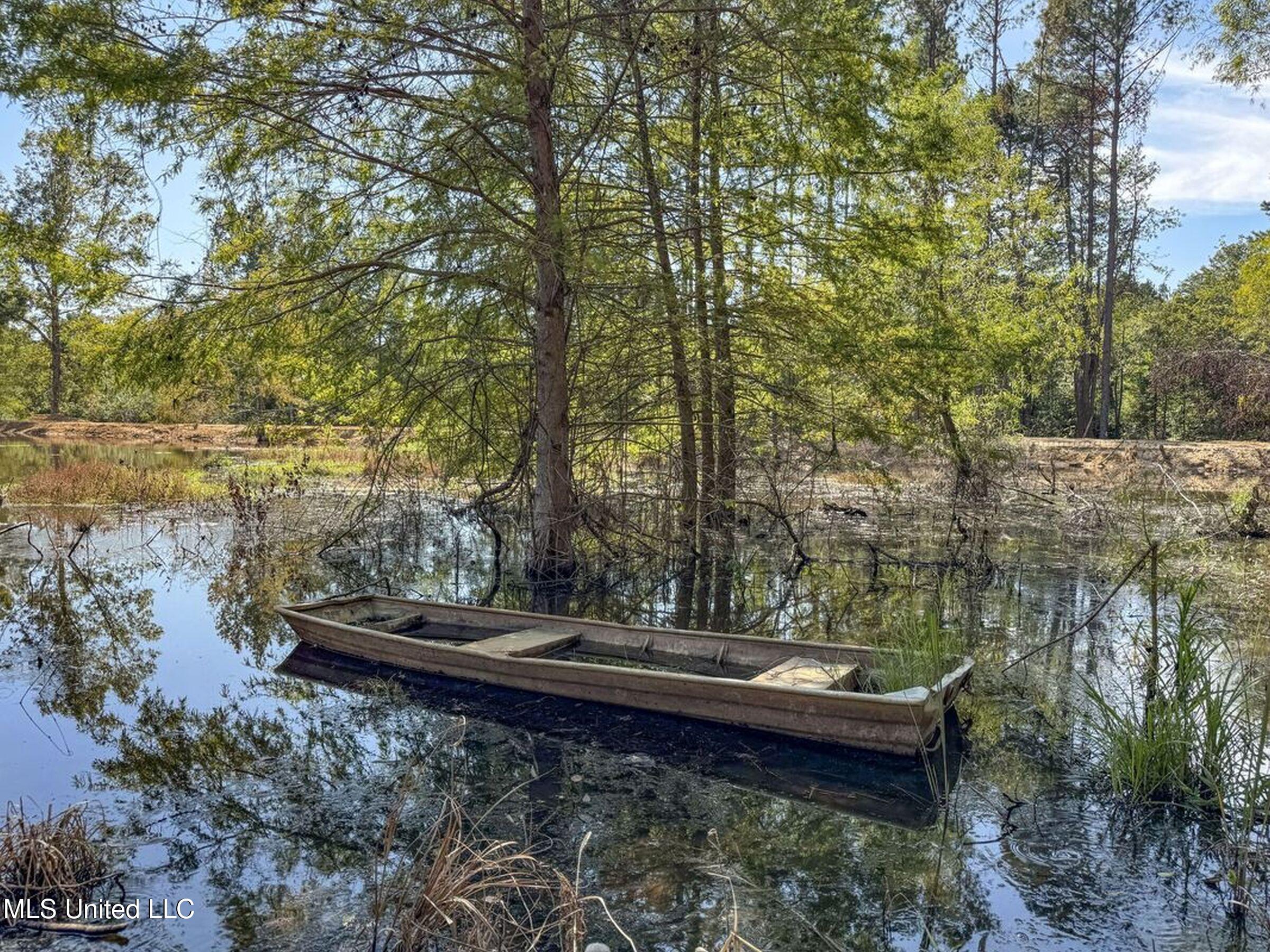 348 Beaverdam Road Camden, MS 39045 - Photo 41 of 121 148lakehs76