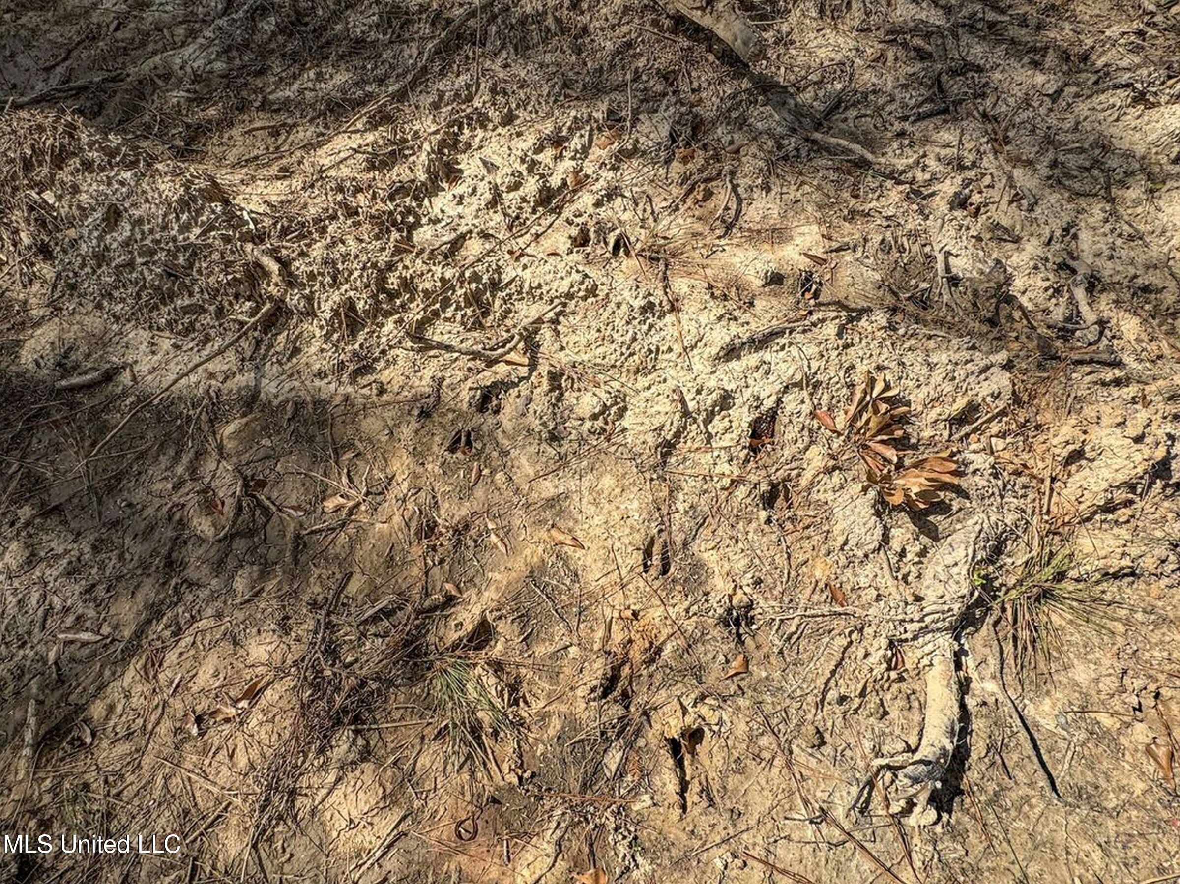 348 Beaverdam Road Camden, MS 39045 - Photo 43 of 122 148lakehs78