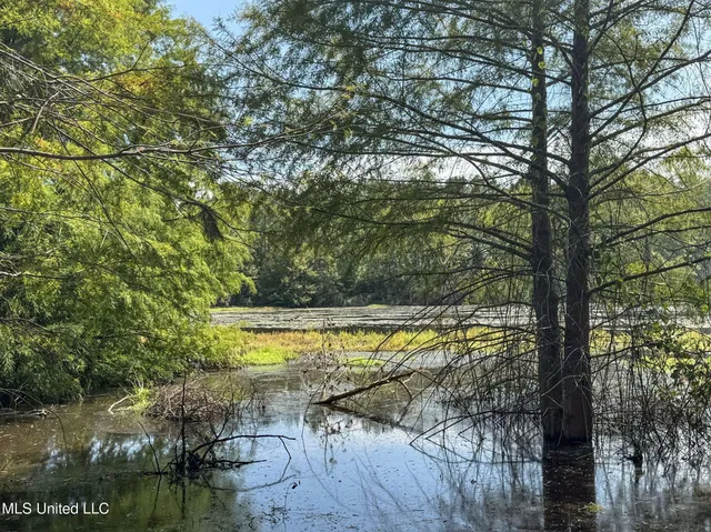 $1,024,000 | 348 Beaverdam Road, Camden, MS 39045