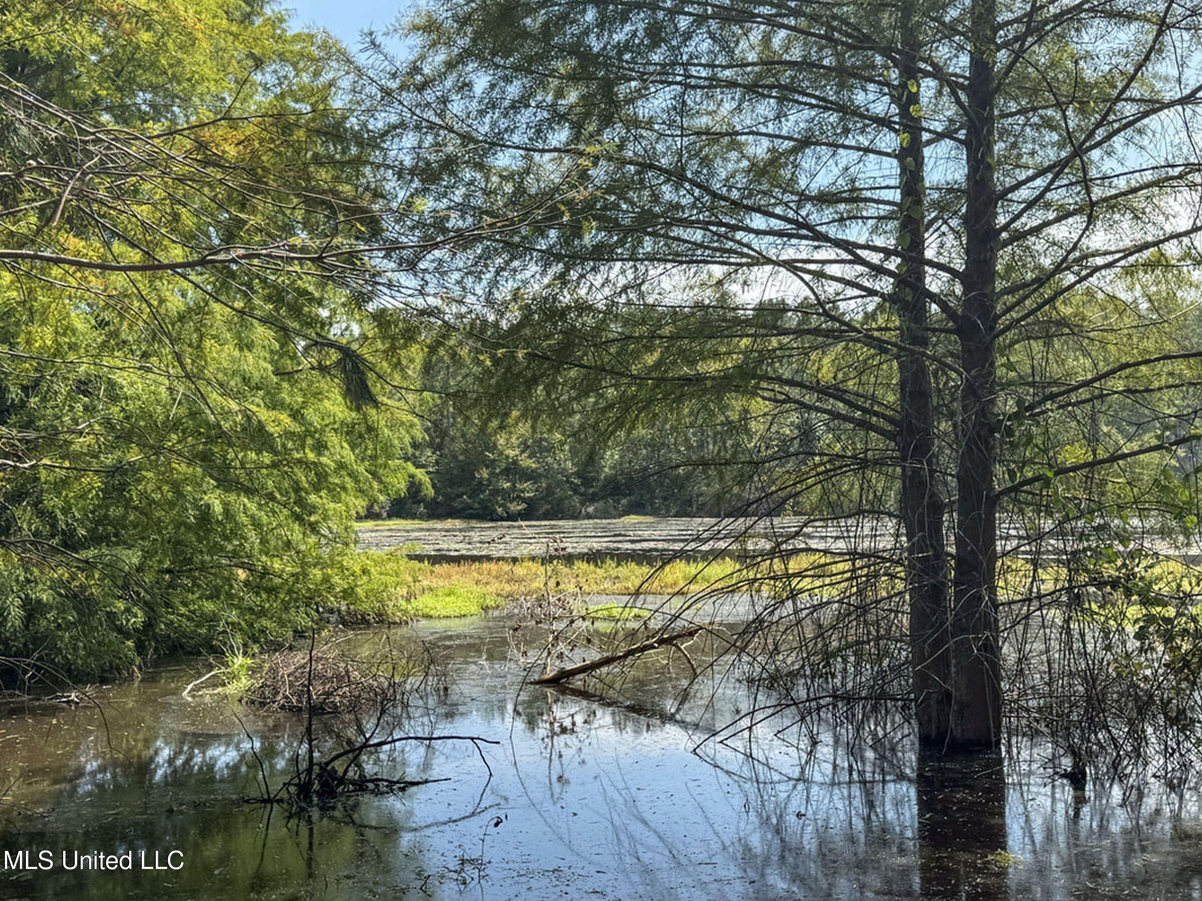 348 Beaverdam Road Camden, MS 39045 - Photo 44 of 122 148lakehs79