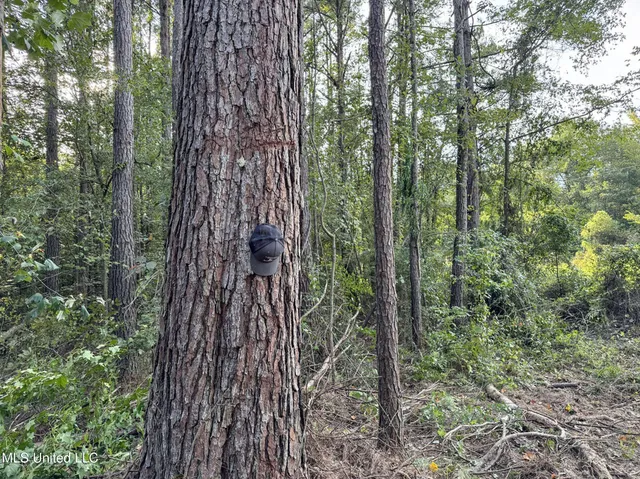 $1,024,000 | 348 Beaverdam Road, Camden, MS 39045