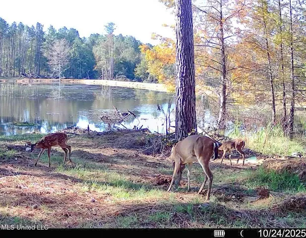 $1,024,000 | 348 Beaverdam Road, Camden, MS 39045