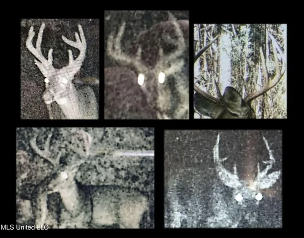 $1,024,000 | 348 Beaverdam Road, Camden, MS 39045