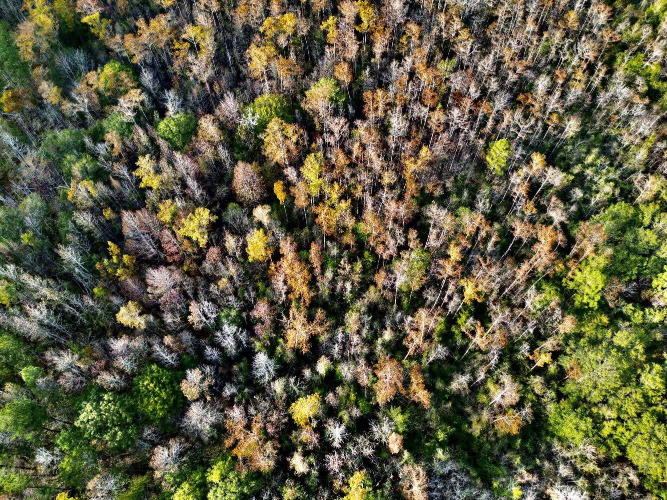 0 Wayside Road Atmore, AL 36502 - Photo 11 of 34
