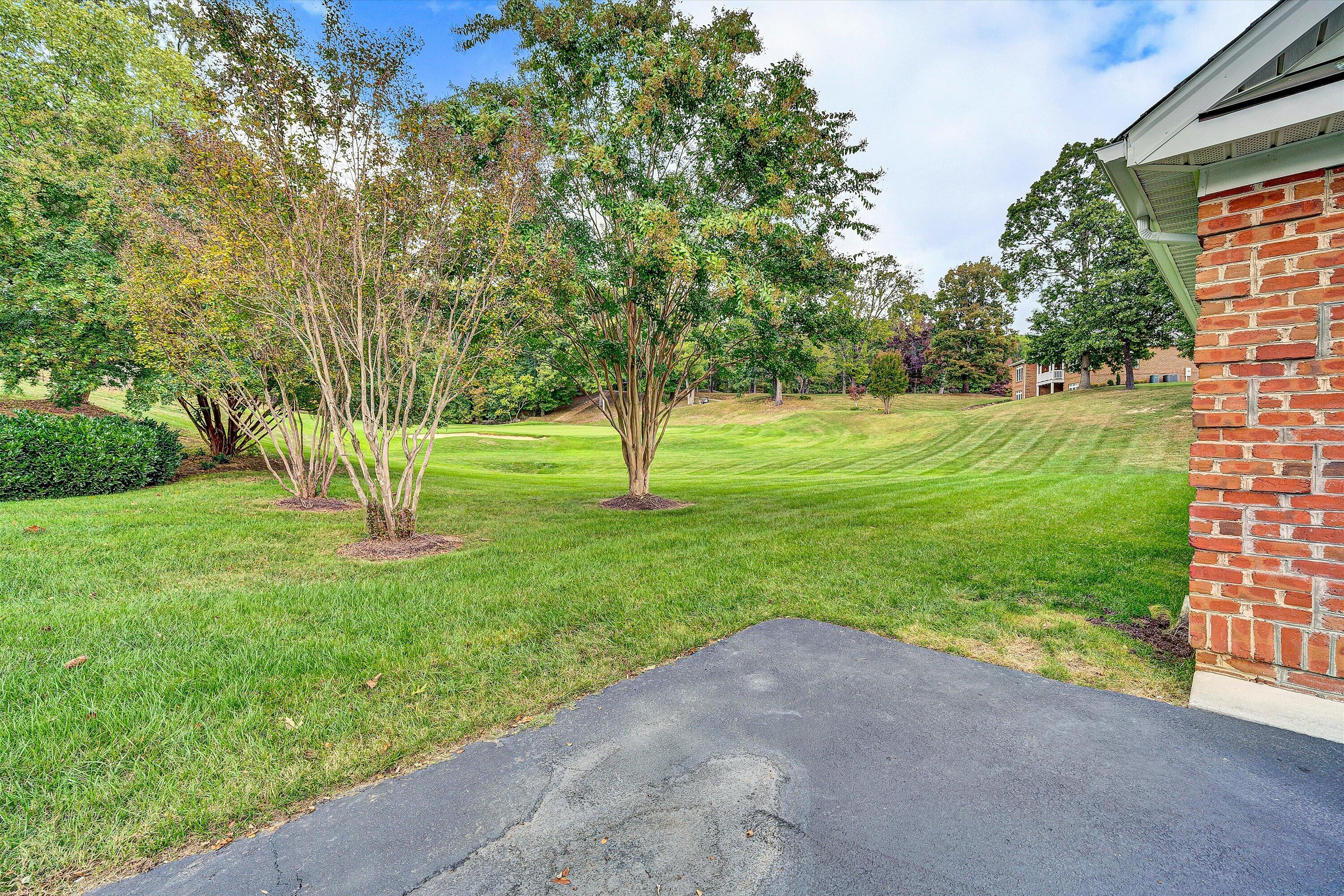 1613 Edgebrook Road Salem, VA 24153 - Photo 36 of 40 a view of field with tall trees