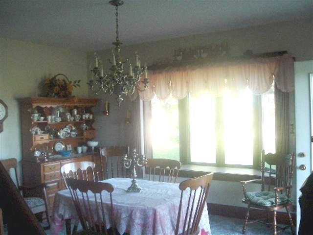 12204 West Haldane Road Forreston, IL 61030 - Photo 3 of 9 a view of a dining room with furniture window and outside view