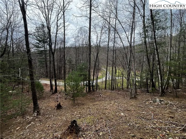 $30,000 | Lot 16 Bear Creek Lane, Deep Gap, NC 28618