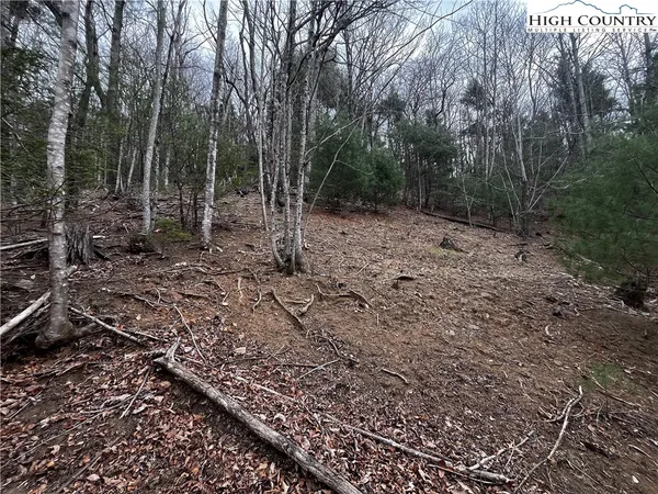$30,000 | Lot 16 Bear Creek Lane, Deep Gap, NC 28618