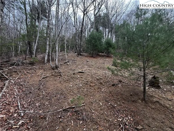$30,000 | Lot 16 Bear Creek Lane, Deep Gap, NC 28618