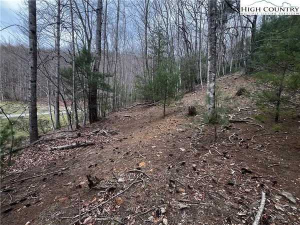 $30,000 | Lot 16 Bear Creek Lane, Deep Gap, NC 28618