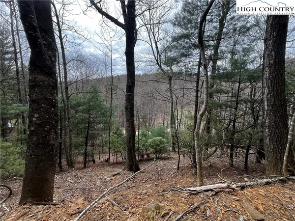 $30,000 | Lot 16 Bear Creek Lane, Deep Gap, NC 28618