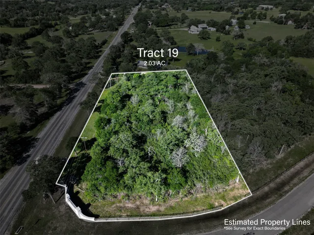 a view of a garden with a tree