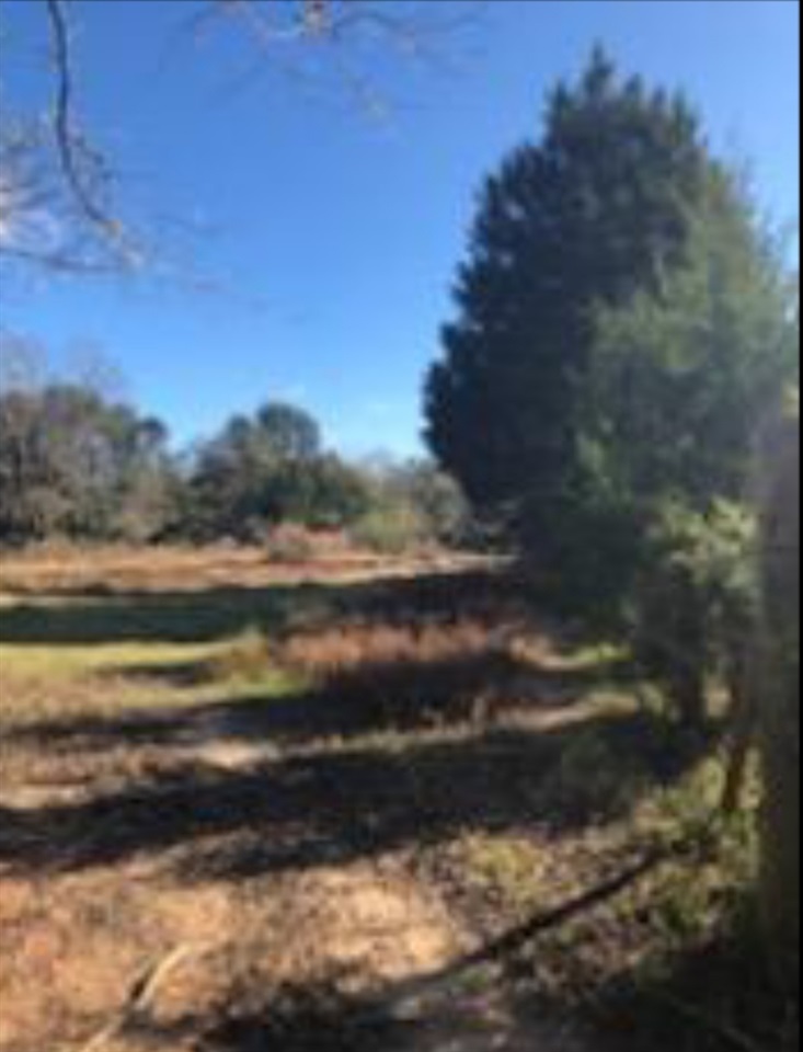 15747 Taylor Road Bay Minette, AL 36507 - Photo 6 of 7