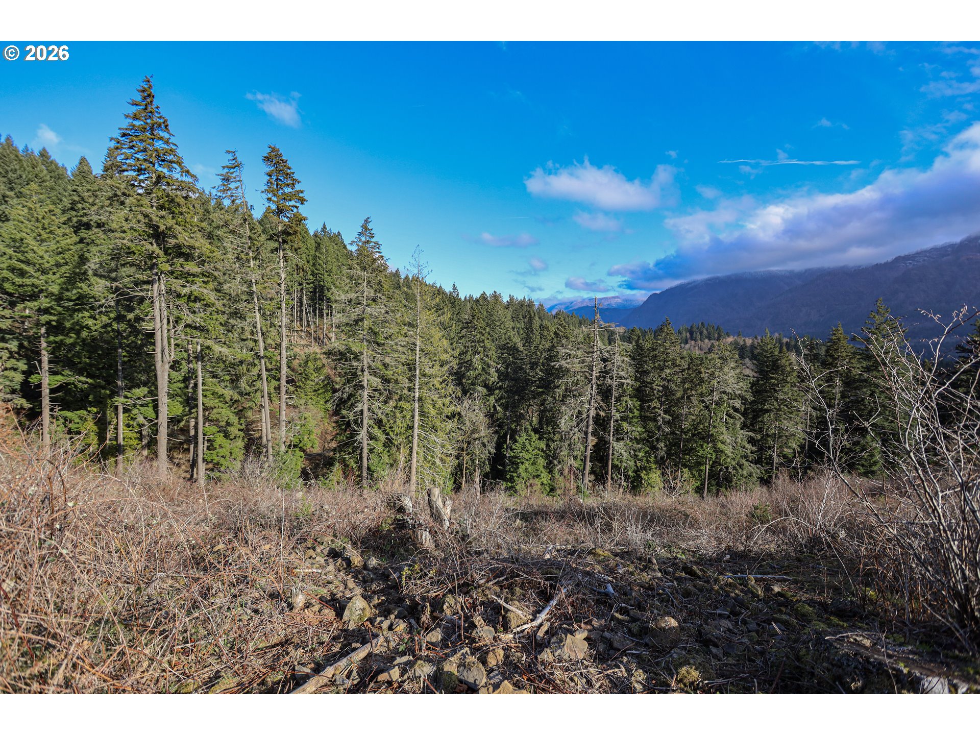 562 Woodard Creek Road Stevenson, WA 98648 - Photo 10 of 33