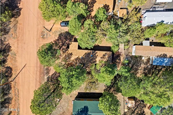 a view of a city with lush green forest