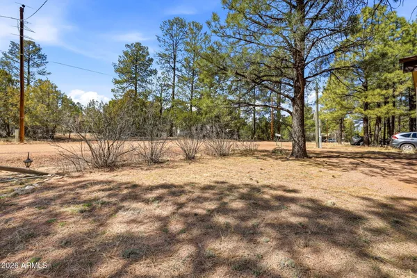 a black and white photo of a floor