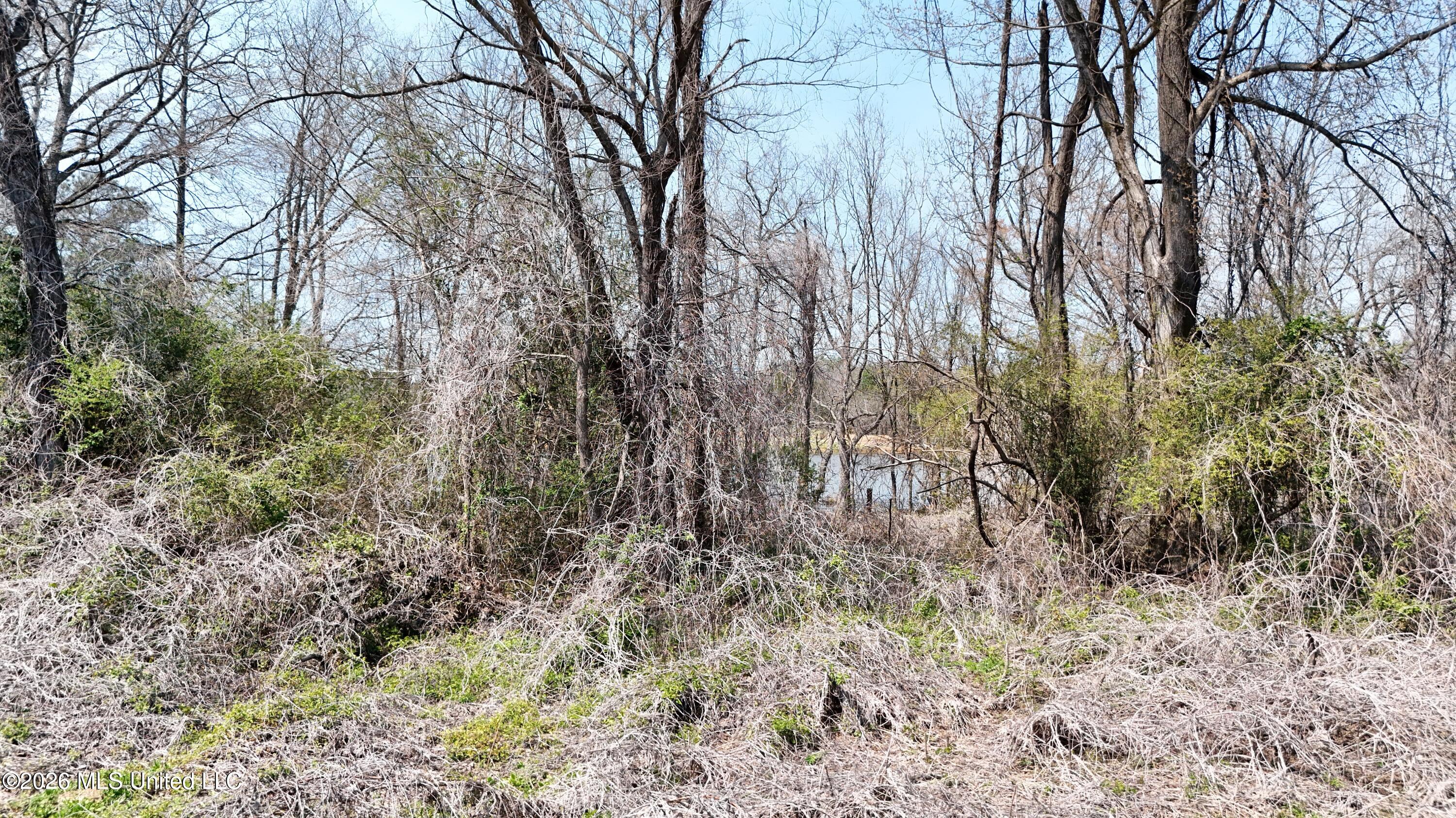 1200 Chulahoma Road Holly Springs, MS 38635 - Photo 42 of 46 DJI_20260321134202_0070_D