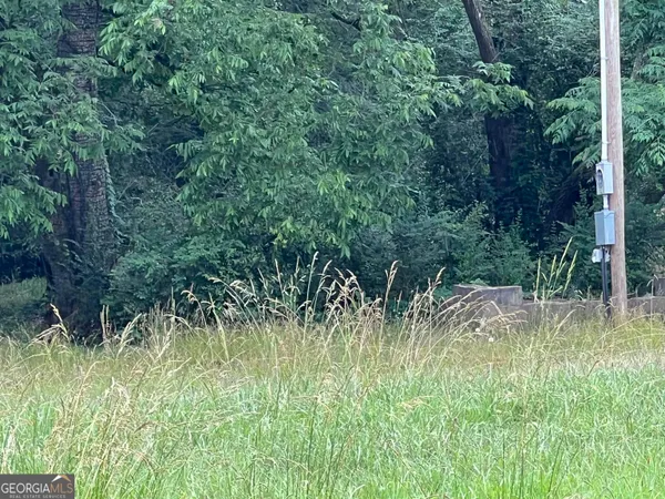 a view of backyard with green space
