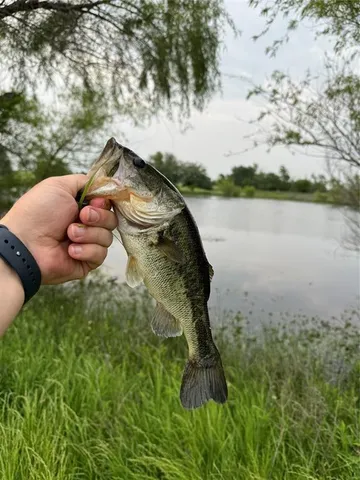 $340,000 | 770 Cane Road, Ennis, TX 75119