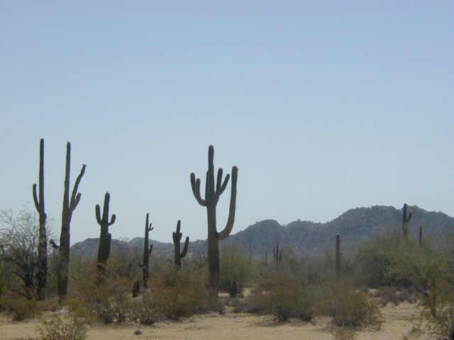 1857 South Rincon Road Maricopa, AZ 85139 - Photo 5 of 5 Additional Photo