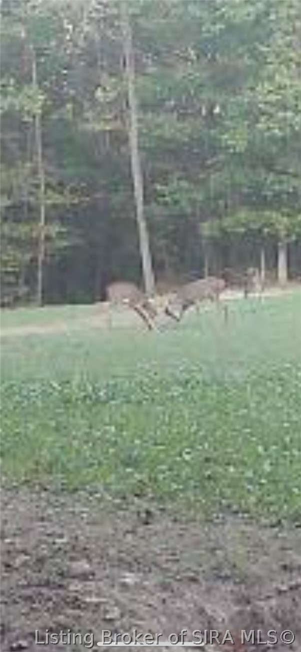 250 S West Co Road Paoli, IN 47454 - Photo 23 of 38