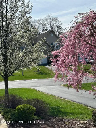 a view of a yard with plants and large trees