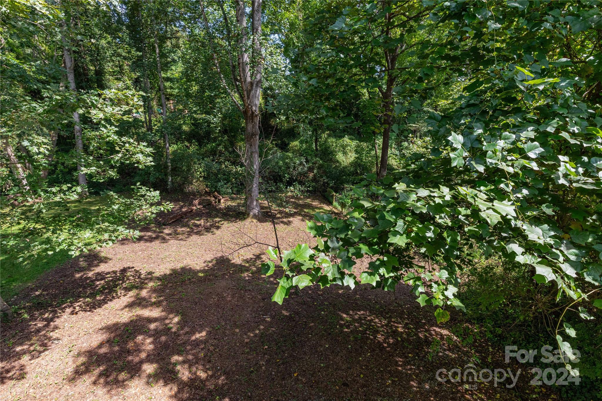 1245 Pine Spring Drive Hendersonville, NC 28739 - Photo 17 of 20 a view of a forest with trees in the background