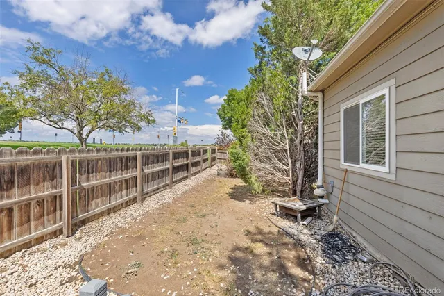 a view of a backyard with plants and large trees