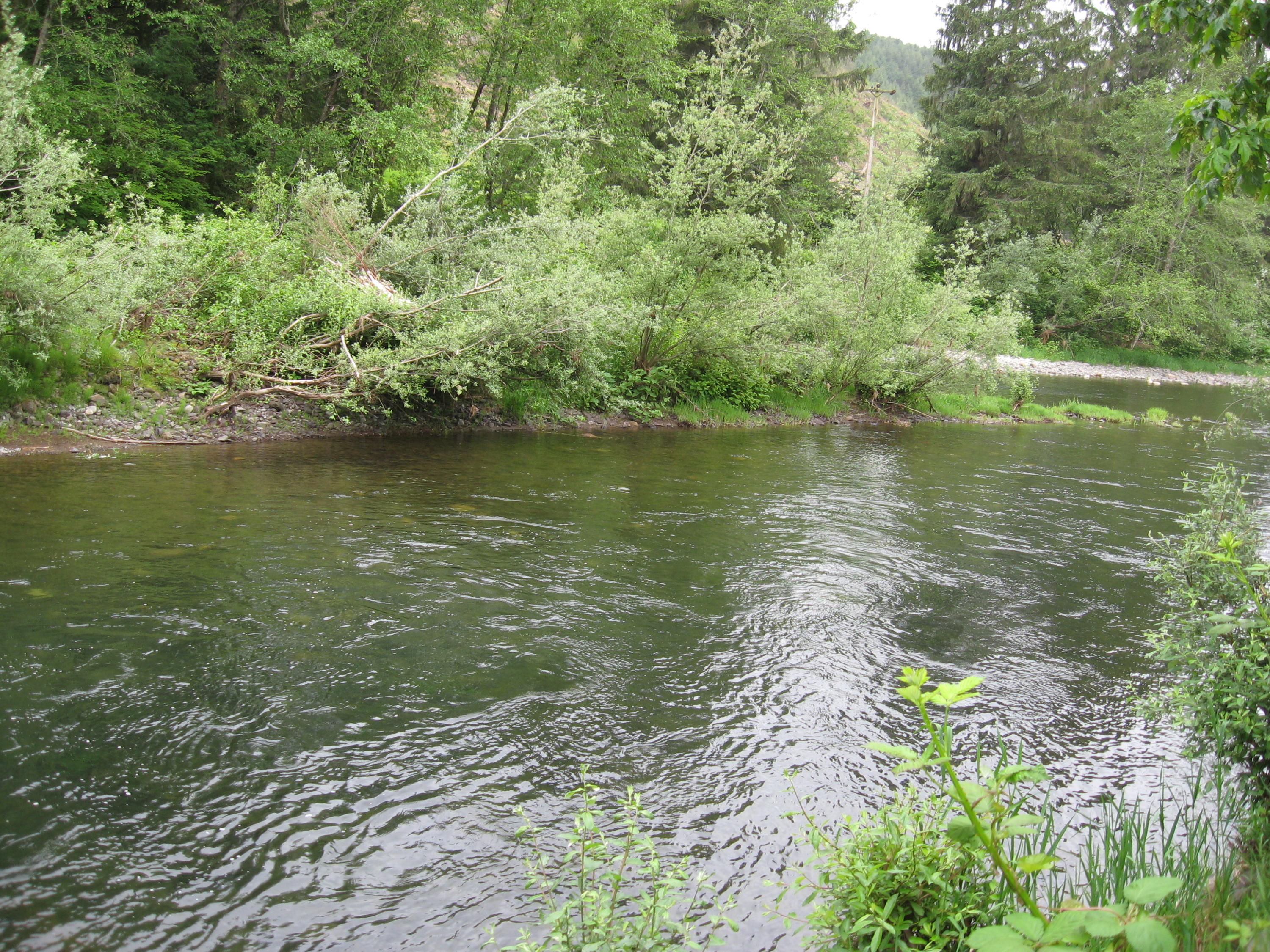 13435 Trask River Road Tillamook, OR 97141 - Photo 4 of 49 Track River - photo from the yard