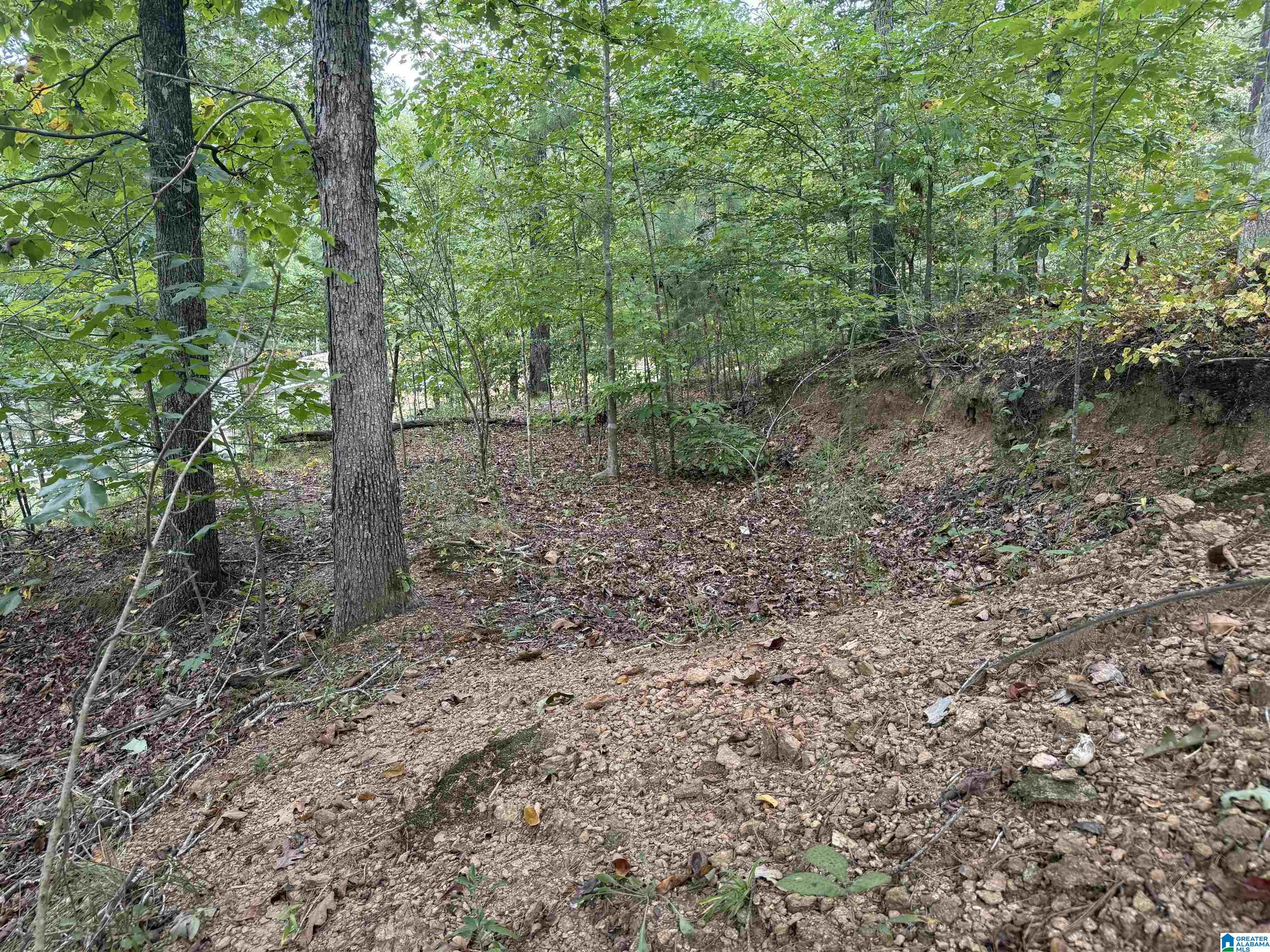0 Lakeside Circle, Unit 31 Delta, AL 36258 - Photo 15 of 16