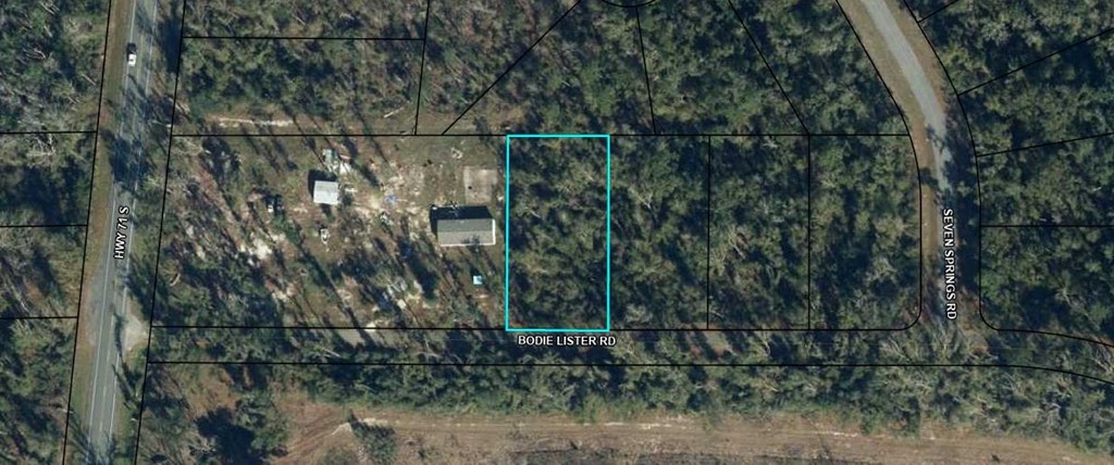 Lot 33 Bodie Lister Road Wewahitchka, FL 32465 - Photo 2 of 7