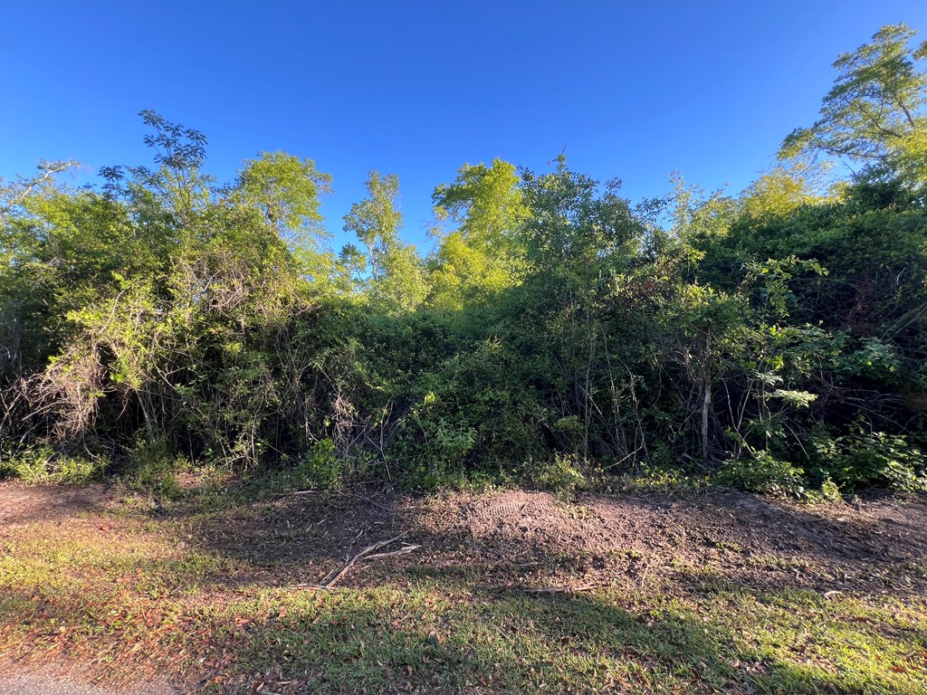 Lot 33 Bodie Lister Road Wewahitchka, FL 32465 - Photo 3 of 7